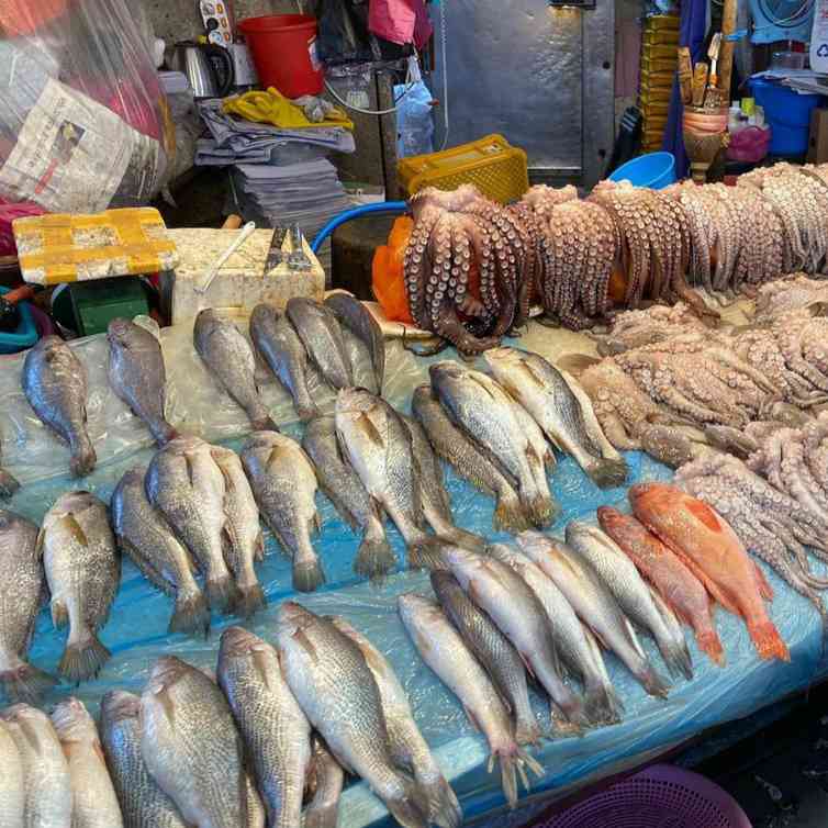釜田市場：釜山の風味と伝統、代表的な市場 4